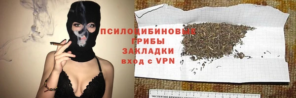 дурь Бородино