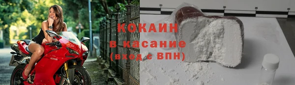 дурь Бородино