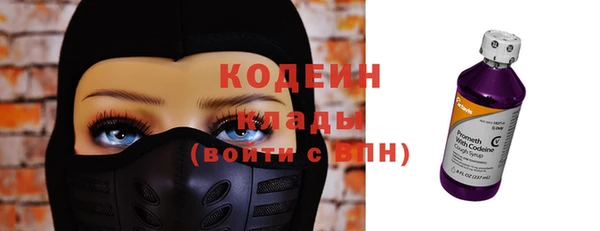 дурь Бородино